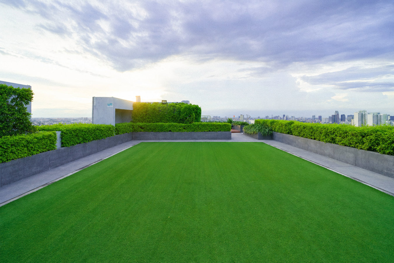 Turf for rooftop gardens
